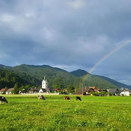 דירה Apartma 27 *