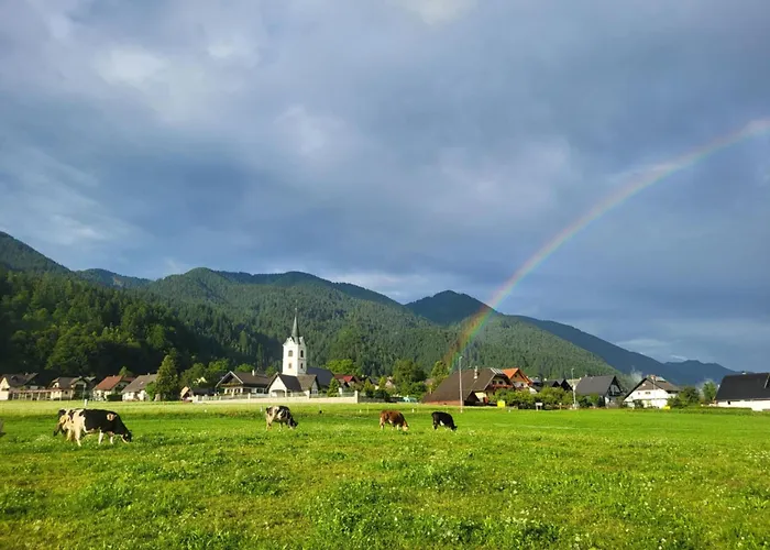 Apartment Apartma 27 *